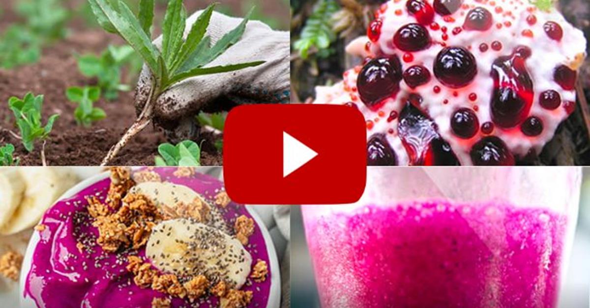 FIZZY JUICE “EATS THROUGH” 62LBS OF STUBBORN FAT