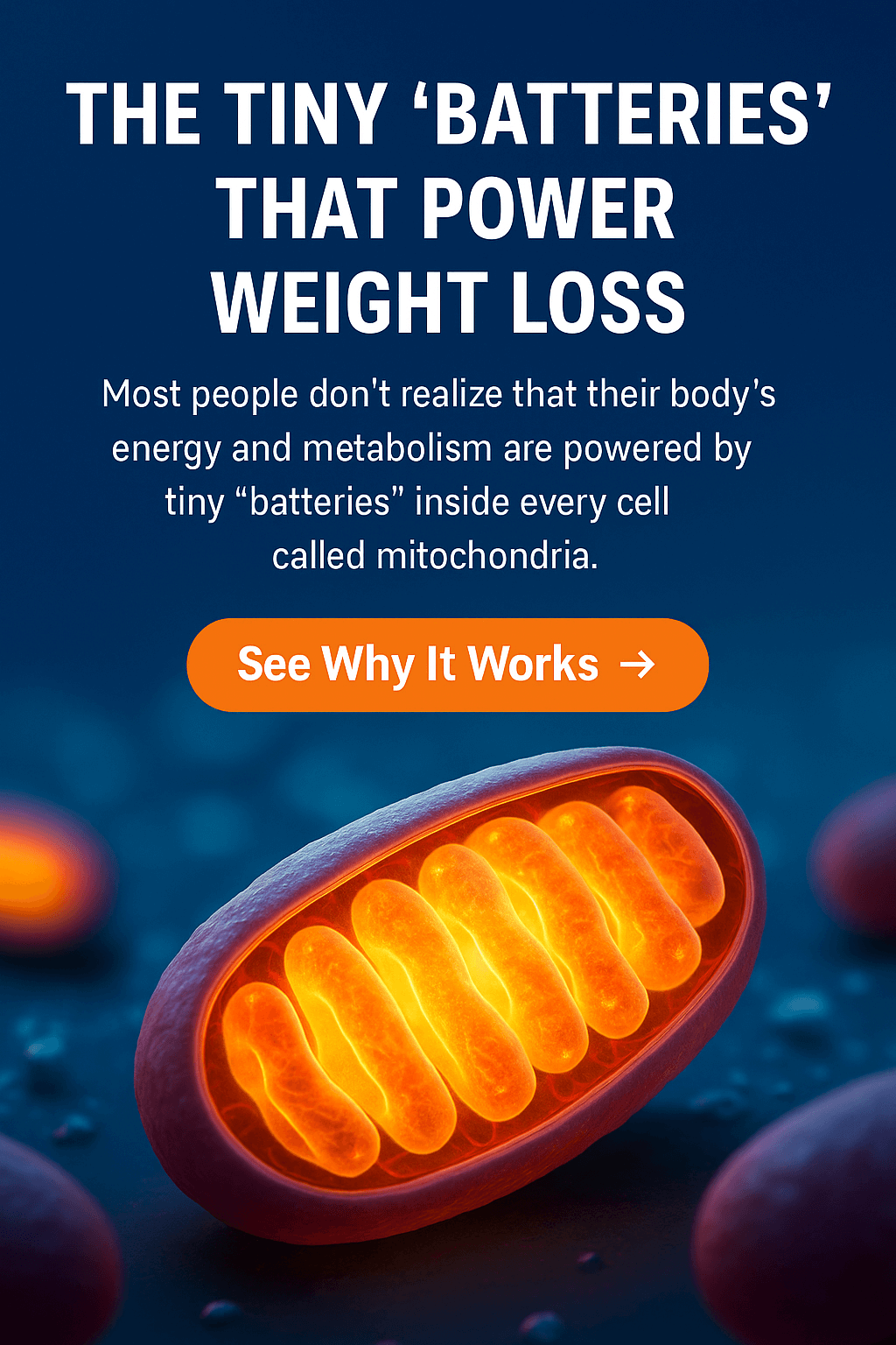 Scientific visualization of mitochondria, the cell’s tiny 'batteries', glowing with energy